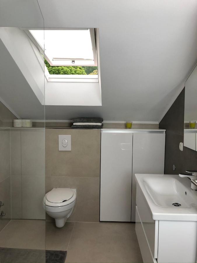 Apartments Villa Ucka Opatija Extérieur photo